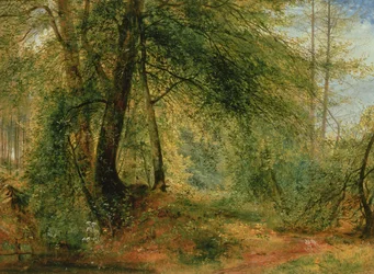 Le Miroir des bois, 19ème siècle